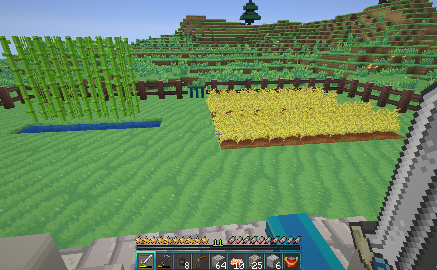 A view of crops in minecraft with the annahstas Resource Pack textures